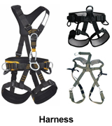 Harness